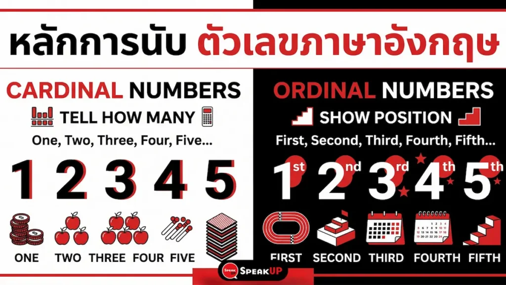 เจาะลึกการใช้ตัวเลขภาษาอังกฤษ ทั้งแบบจำนวนนับ (Cardinal) และแบบลำดับที่ (Ordinal) พร้อมตารางเปรียบเทียบ และวิธีอ่านตัวเลขหลักล้าน ทศนิยม